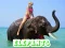 Logħba Elephants Puzzle onlajn