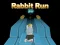 Logħba Rabbit Run 3D onlajn