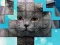 Logħba PicPu Cat onlajn