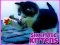 Logħba Six Little Kittens onlajn