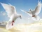 Logħba Flying Birds onlajn
