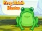 Logħba Frog Match Master onlajn