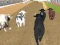 Logħba Angry Bull Racing onlajn