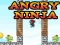 Logħba Angry Ninja onlajn