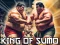 Logħba King Of Sumo the ultimate brawl onlajn