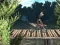 Logħba Bike Trial Xtreme Forest onlajn