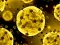 Logħba Coronavirus Slide onlajn