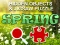 Logħba Hidjigs Spring onlajn
