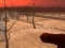 Logħba Wasteland Shooters onlajn
