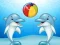 Logħba Dolphin Show onlajn