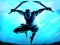 Logħba Shadow Ninja Revenge onlajn