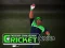 Logħba Cricket Fielder Challenge onlajn
