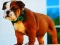 Logħba Bulldog Puppy Puzzle onlajn