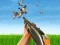 Logħba Bird Hunting onlajn