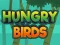 Logħba Hungry Birds onlajn