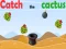 Logħba Catch The Cactus onlajn