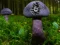 Logħba Mushroom Forest Adventure onlajn