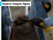 Logħba Emperor Penguin Jigsaw onlajn