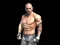 Logħba Fight Arena Online onlajn