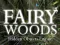 Logħba Fairy Woods Hidden Objects onlajn