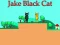 Logħba Jake Black Cat onlajn
