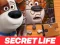 Logħba The Secret Life of Pets Jigsaw Puzzle onlajn