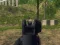 Logħba Army Shooter onlajn