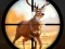 Logħba Wild Hunting Clash onlajn