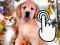 Logħba Pets Clicker onlajn