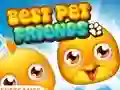 Logħba Best Pet Friends onlajn