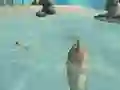 Logħba Shark Simulator Beach Killer onlajn
