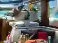 Logħba Caribbean Crime onlajn