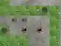 Logħba Spider Tower Defence onlajn