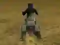 Logħba Real Moto Stunts Challenge onlajn