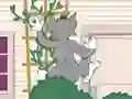 Logħba Tom und Jerry: Wasserbomben Wahnsinn onlajn