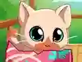 Logħba My Pocket Pets Kitty Cat onlajn
