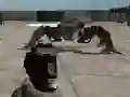 Logħba Mech Aggression onlajn