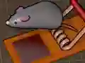 Logħba Feed the Mouse onlajn