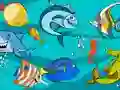 Logħba Fish Differences onlajn