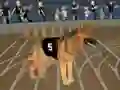 Logħba Crazy Dog Racing Fever onlajn
