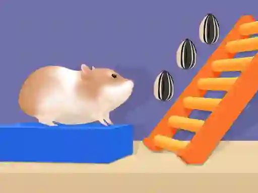 Logħba Hamster Stack Maze onlajn
