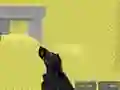 Logħba Pixel Combat Multiplayer onlajn