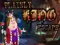 Logħba Plainly King Escape onlajn