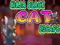 Logħba Ninja Black Cat Escape onlajn