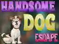 Logħba Handsome Dog Escape onlajn