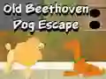 Logħba Old Beethoven Dog Escape onlajn