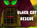 Logħba Black Cat Rescue onlajn