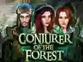 Logħba Conjurer Of The Forest onlajn
