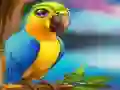 Logħba Little Parrot Escape onlajn