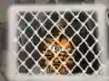 Logħba Tiger Escape 1 onlajn